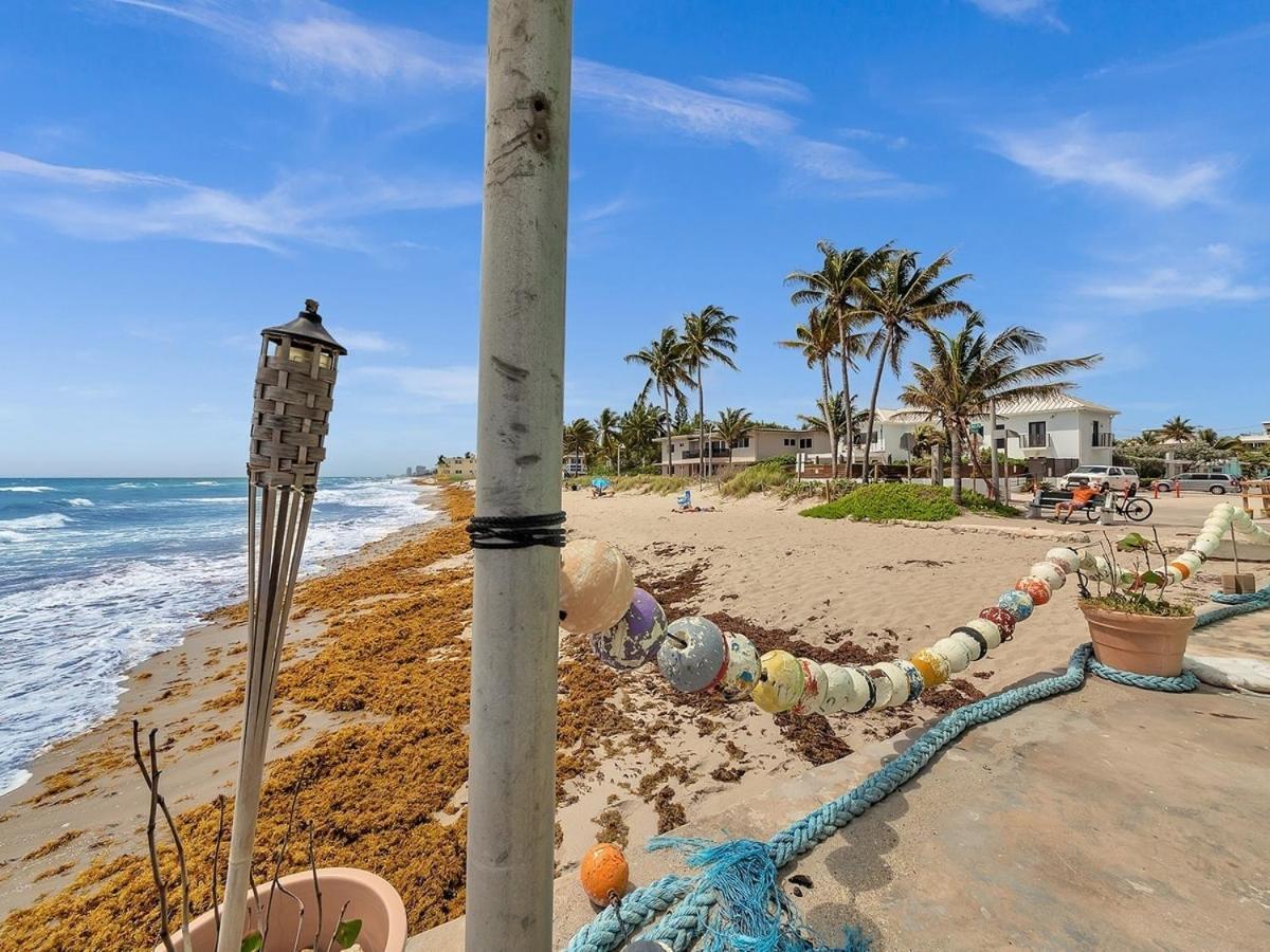 The Shell On Walnut 1br1bath Hollywood Free Parking * Dania Beach