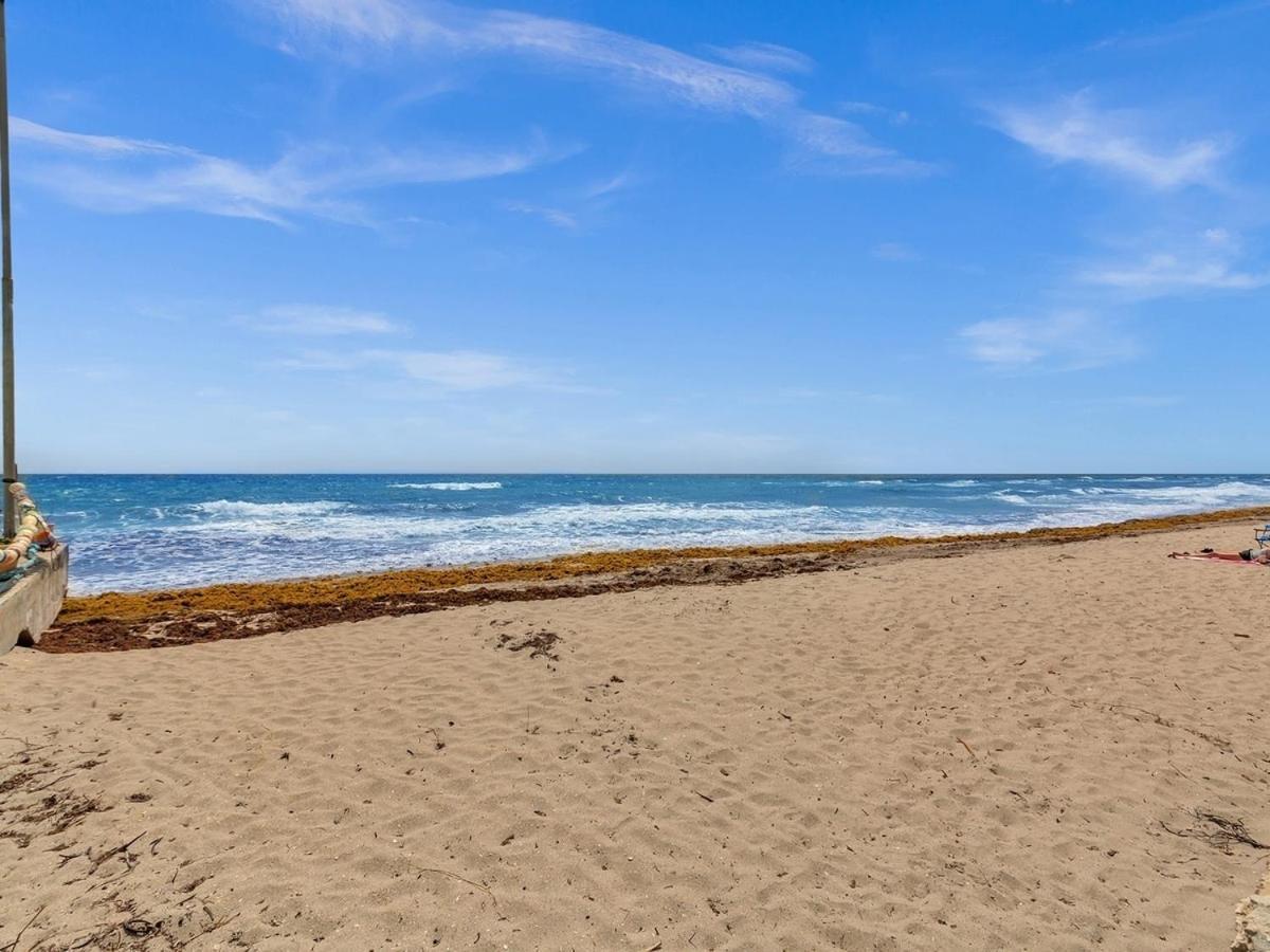Appartement The Shell On Walnut 1br1bath Hollywood Free Parking Dania Beach